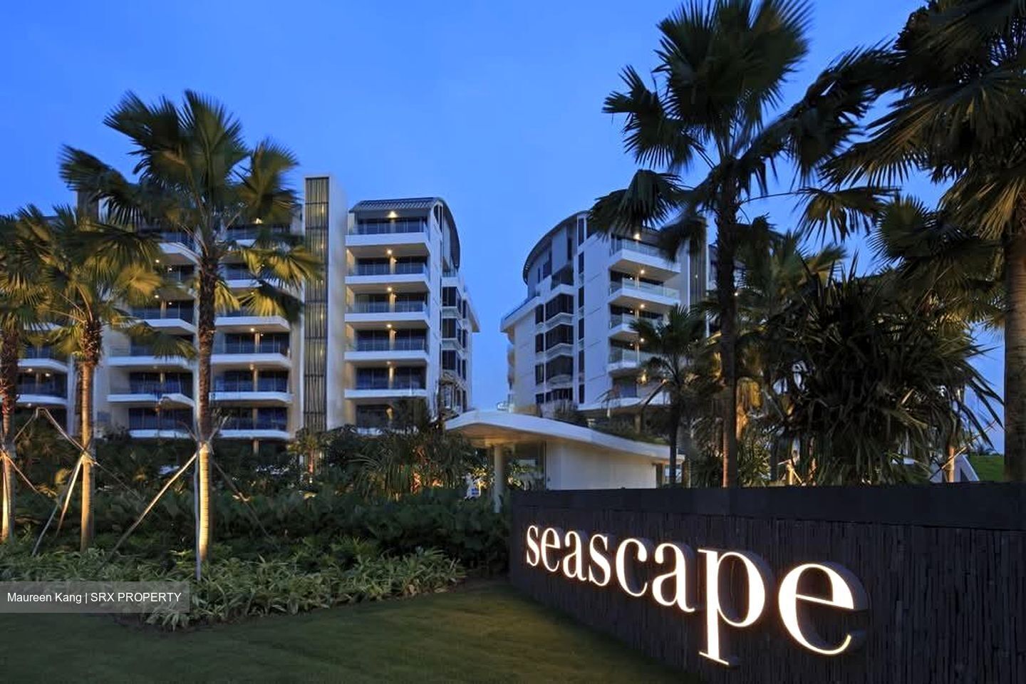 Seascape (D4), Condominium #596080061